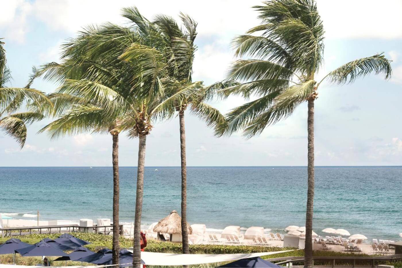 Beach Club At The Boca Raton Buitenkant foto